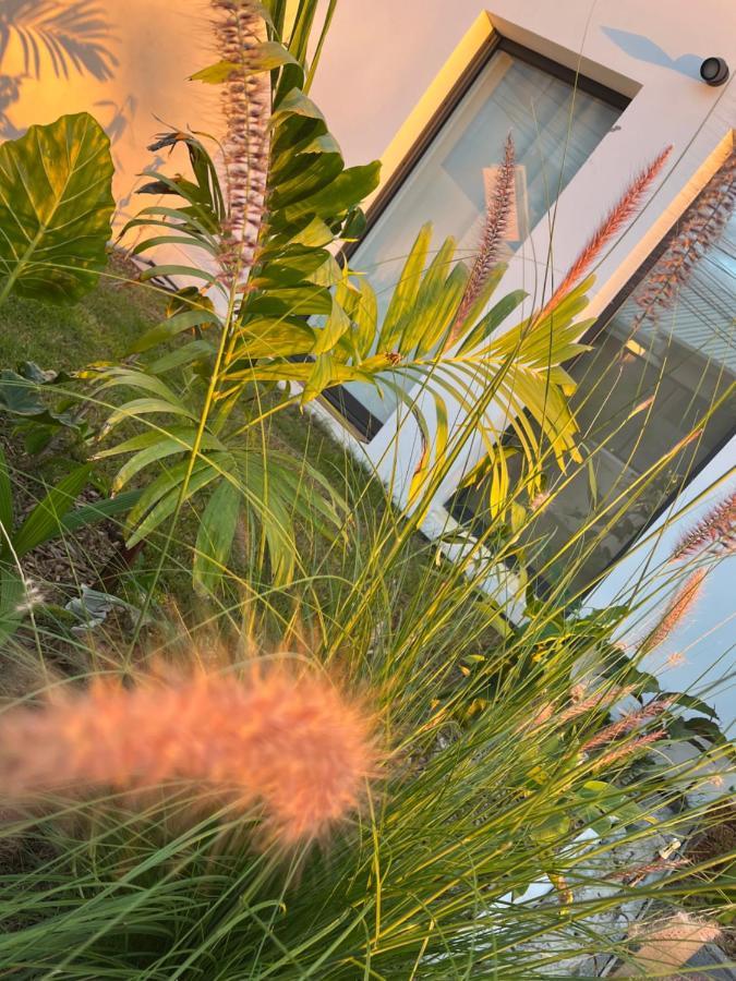 L'Empreinte-Oasis De Serenite Au Coeur D'Un Jardin Tropical لو تامبون المظهر الخارجي الصورة